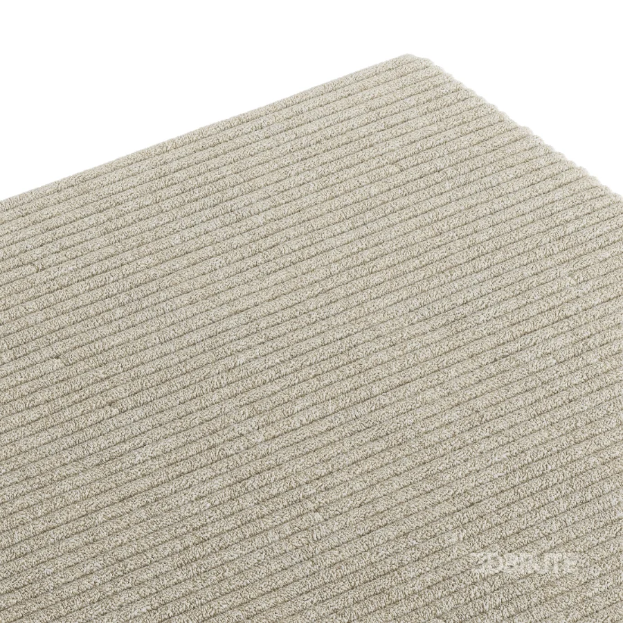Carpet 05 Image 4