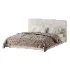 Bed Baddi - Thumbnail 1