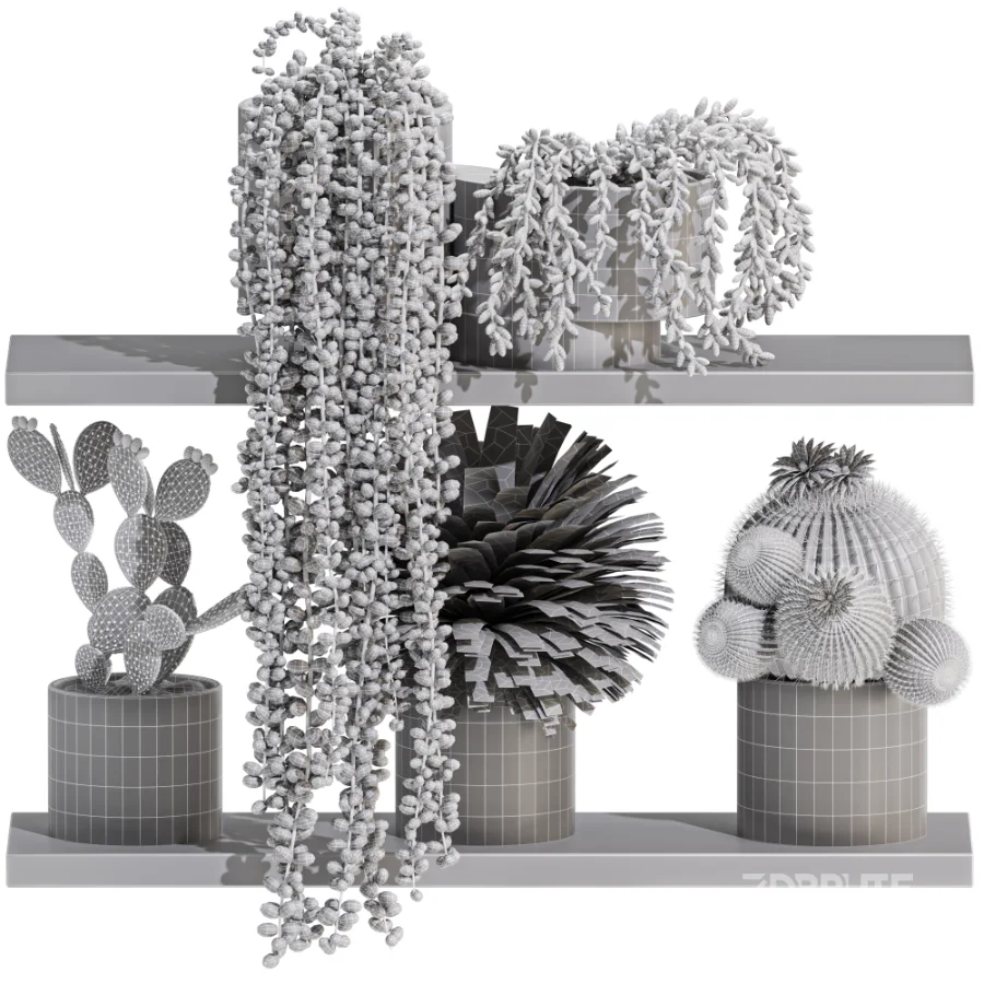 Indoor_plants_on_shelf Image 2