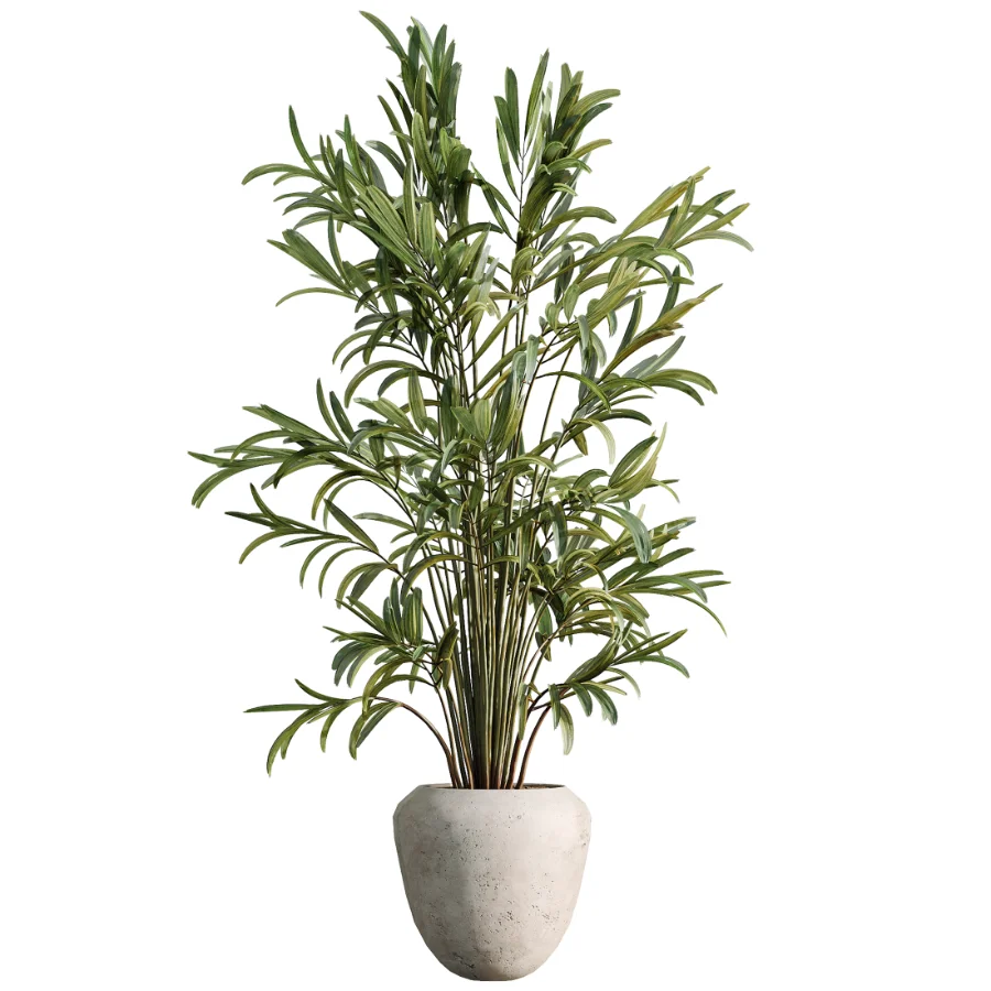 AV Indoor Plants Set 484 Areca Palm and Olive Eucalyptus and Dracaena Warnecki and Ficus Elastica Image 3