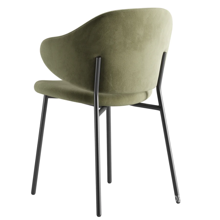 Bassi Chair Image 5