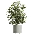 ntal greenery, making it an excellent choice for luxury interiors, hospitality spaces, commercial environments, and architectural landscape scenes. - Thumbnail 4