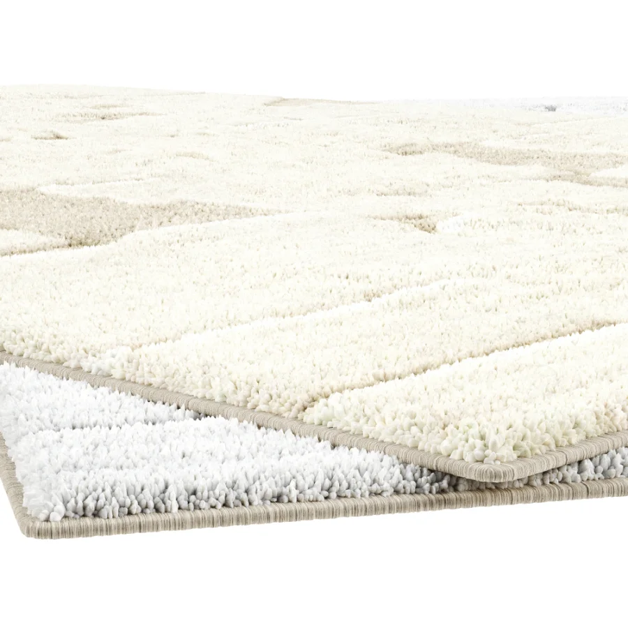 Carpet Image 2