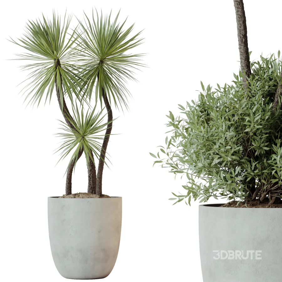 AV Indoor Plants Set 490 Yucca Olive Artificial Rhapis Orange Palm Image 2