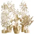 AV Indoor Plants Set 489 PalmCalathea Lutea Olive Ficus - Thumbnail 7
