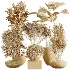 AV Indoor Plants Set 472 Yucca Elephantipes and Chemlali Olive and Cunjevoi Alocasia and Schefflera Arboricola and Ficus macrocarpa - Thumbnail 9