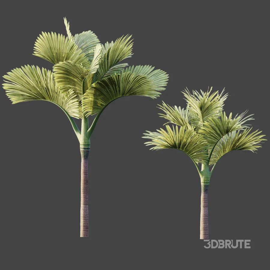 ntal fruits. Image 7