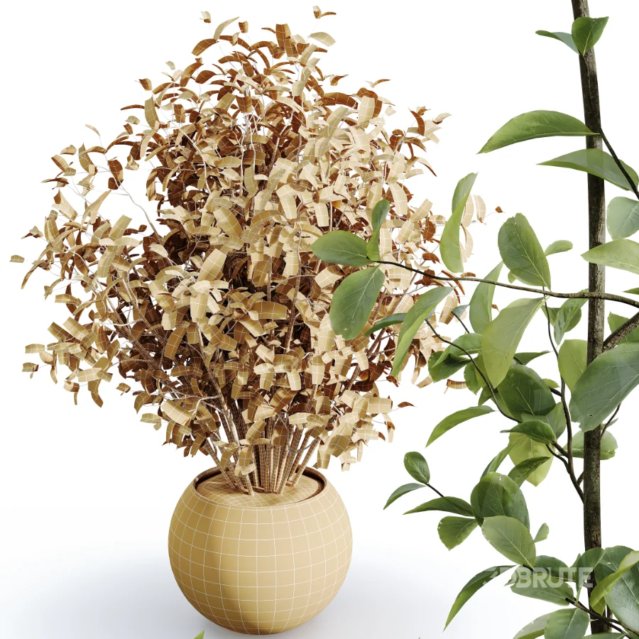 AV Indoor Plants Set 484 Areca Palm and Olive Eucalyptus and Dracaena Warnecki and Ficus Elastica Image 7