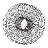 Aromas Del Campo Hedula Wall Lamp - Thumbnail 1