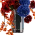 Radiant Contrast Bouquet - Thumbnail 4