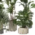 Indoor plants set - Thumbnail 1