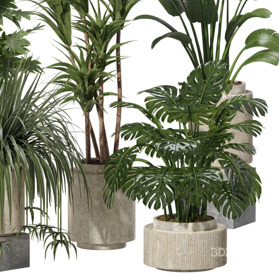 Indoor plants set Image 1