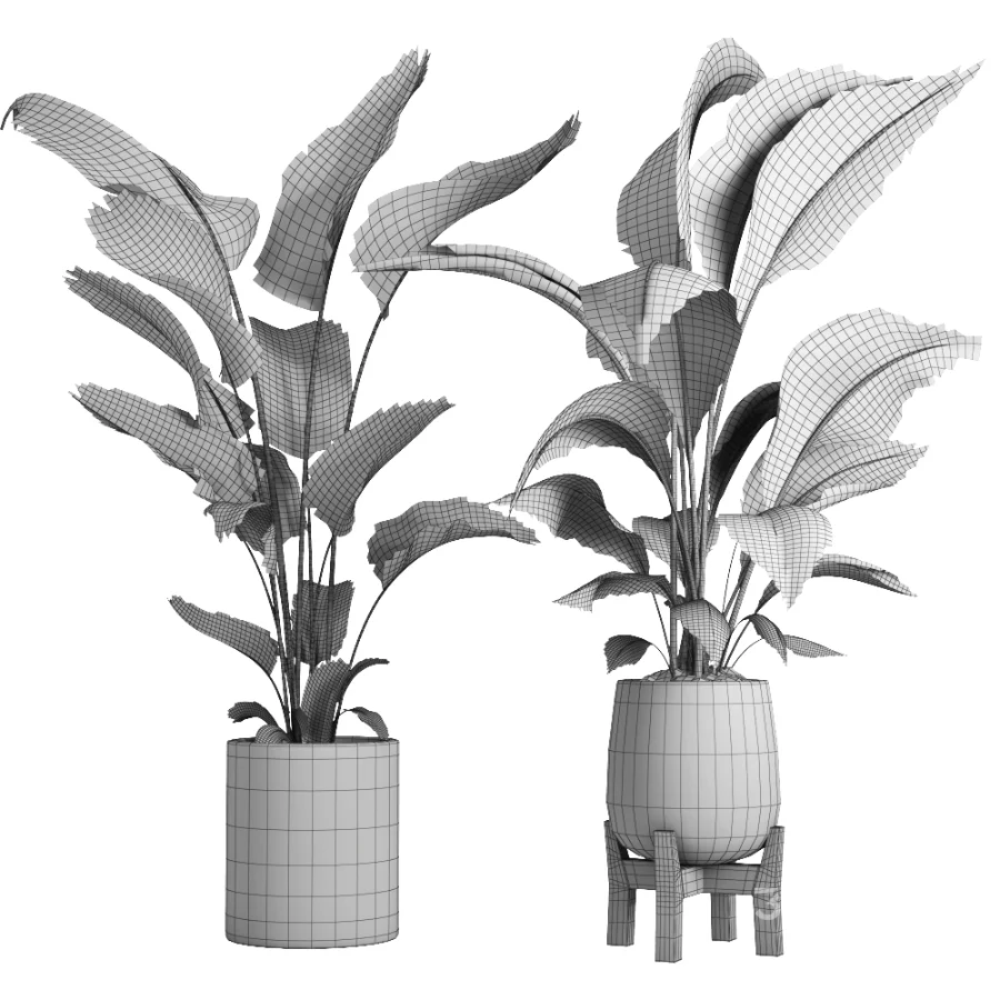 indoor plant 067 Image 4