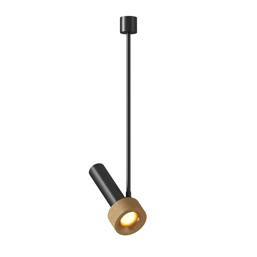 Aromas Del Campo Focus 02 Pendant Lamp Image 2