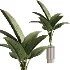 ntal plant species to create a balanced composition suitable for modern interiors, outdoor environments, and high-end architectural scenes. - Thumbnail 5