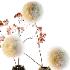 Autumn Whisper - Thumbnail 4