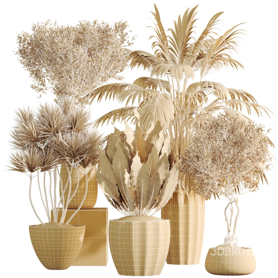 AV Indoor Plants Set 525 Yucca Olive Areca Palm Spathiphyllum Image 9