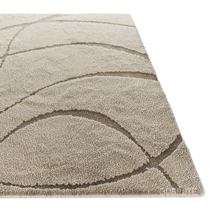 Carpet 13 Image 3