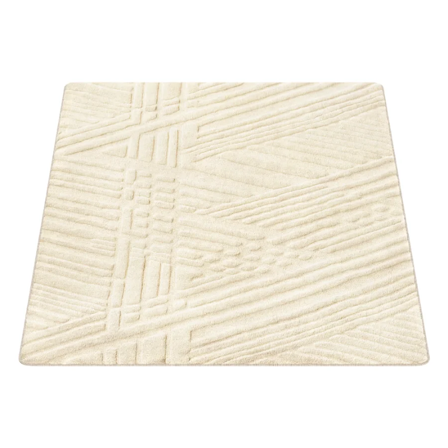 Carpet Image 2