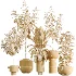 AV Indoor Plants Set 486 Rubber Ficus Elastica Abidjan Melany - Thumbnail 10