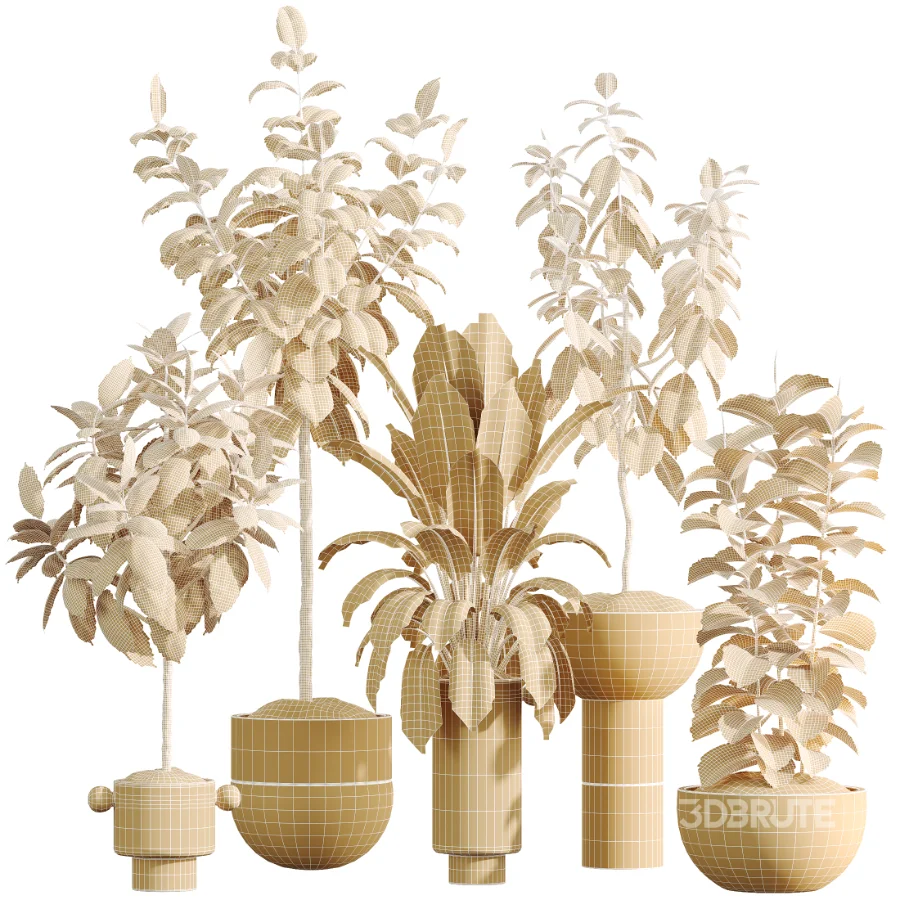 AV Indoor Plants Set 486 Rubber Ficus Elastica Abidjan Melany Image 10