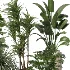 Indoor plants set - Thumbnail 4