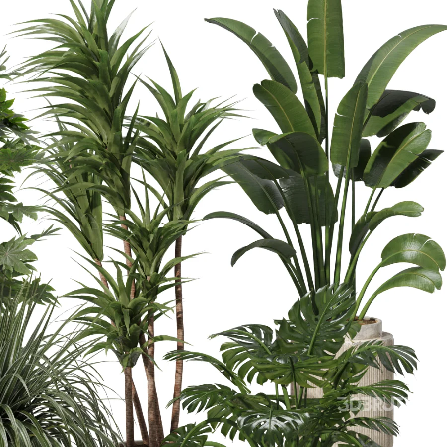 Indoor plants set Image 4