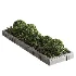 Outdoor Plant 49 - Thumbnail 2