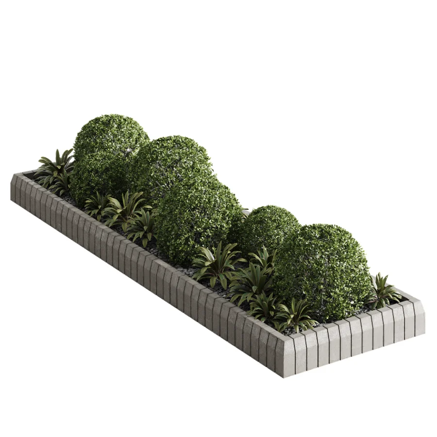 Outdoor Plant 49 Image 2