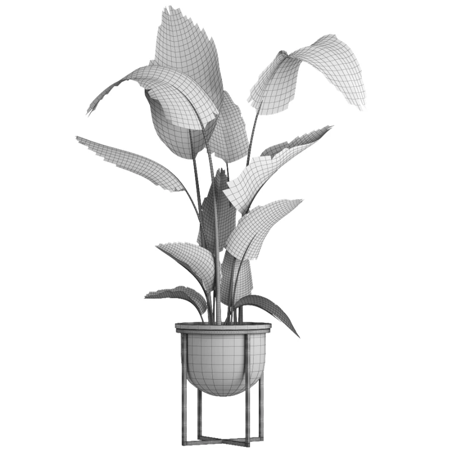 indoor plant 078 Image 5