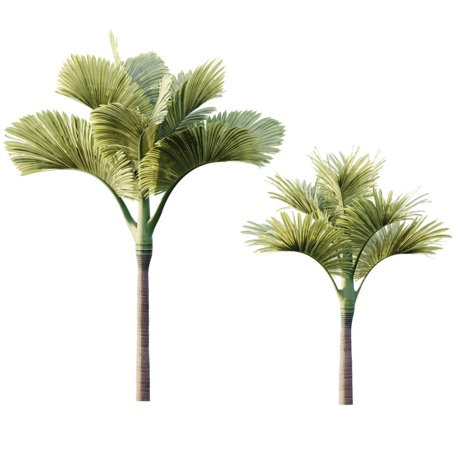 ntal fruits. Image 6