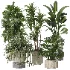 Indoor plants set - Thumbnail 6