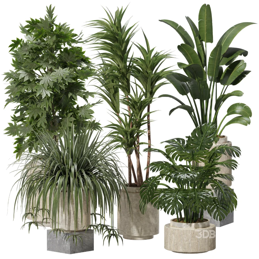 Indoor plants set Image 6