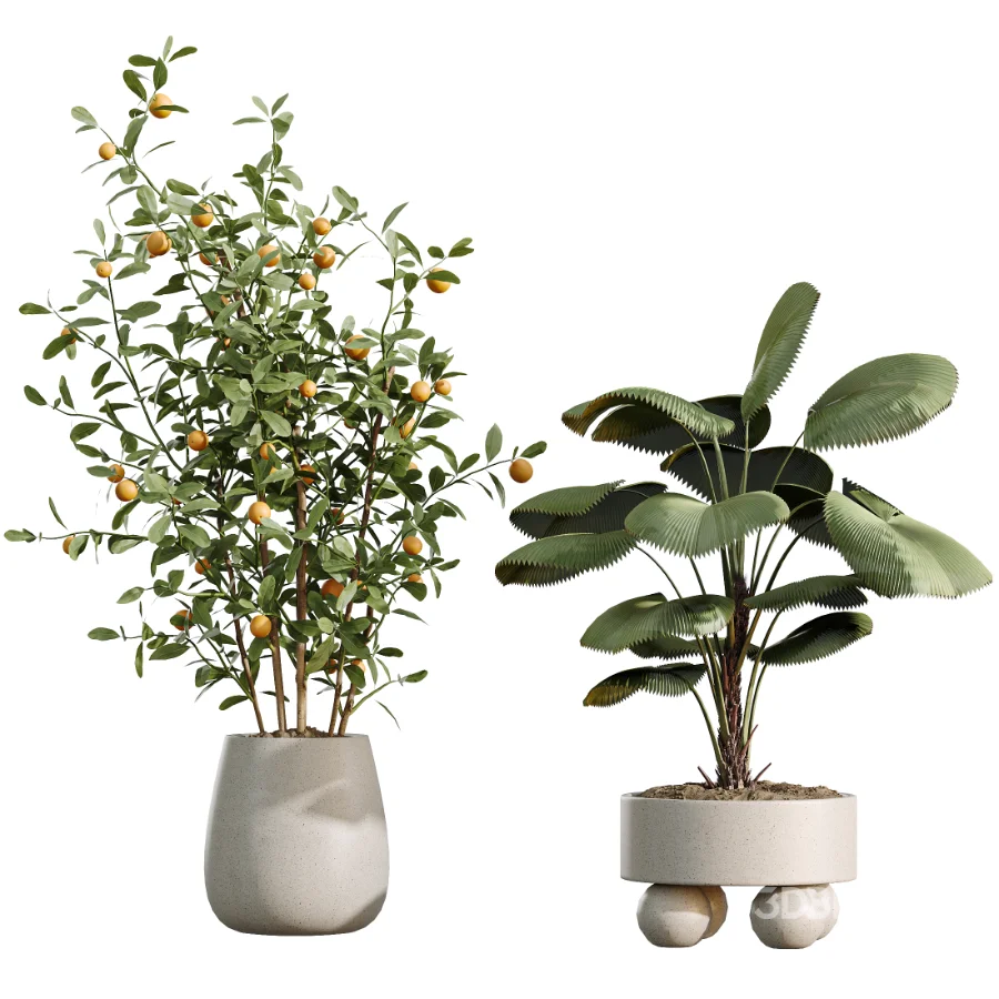 AV Indoor Plants Set 490 Yucca Olive Artificial Rhapis Orange Palm Image 9