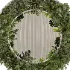 Indoor_plants_with_circle_mirror - Thumbnail 2