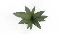 Banana Leaf Tree in Planter - Thumbnail 10