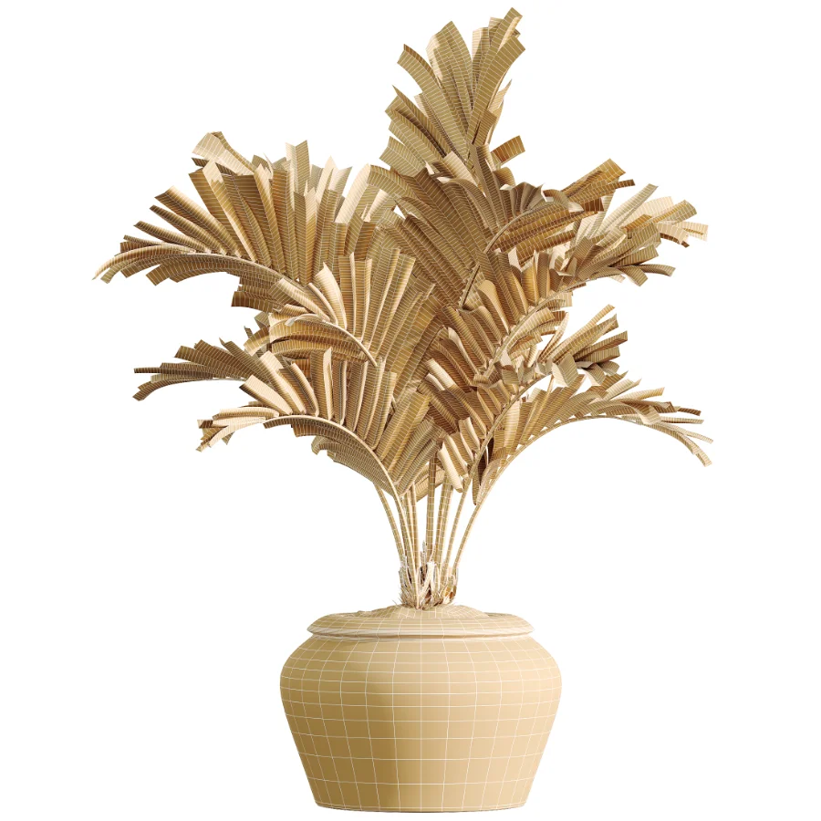 AV Indoor Plants Set 523 Areca Palm Olive Euphorbia Cyara Image 10