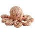Plush Toys Set 28 - Thumbnail 4