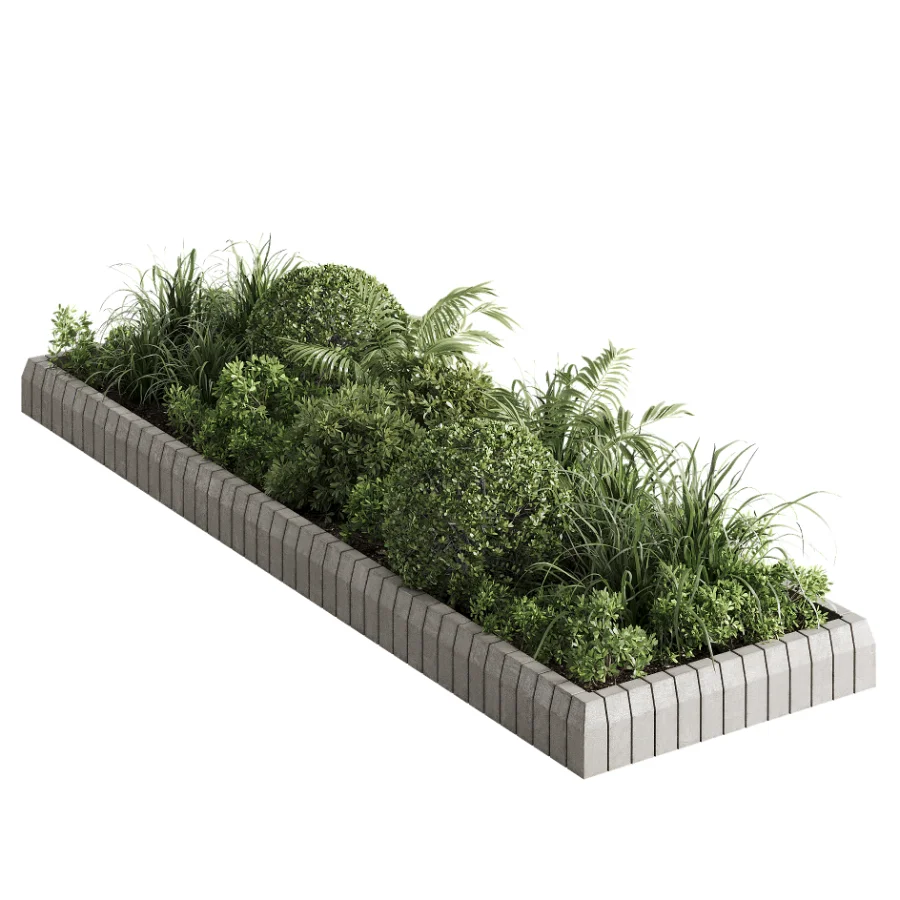 Outdoor Plant 49 Image 4