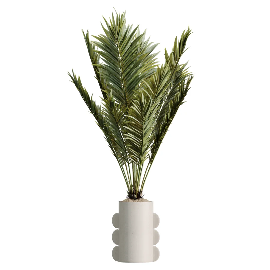 AV Indoor Plants Set 479 Olive Elegant Monstera Ficus Palm Image 4