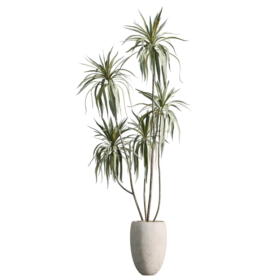 AV Indoor Plants Set 484 Areca Palm and Olive Eucalyptus and Dracaena Warnecki and Ficus Elastica Image 2