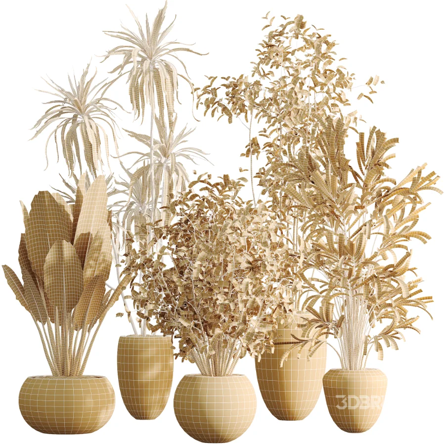 AV Indoor Plants Set 484 Areca Palm and Olive Eucalyptus and Dracaena Warnecki and Ficus Elastica Image 8