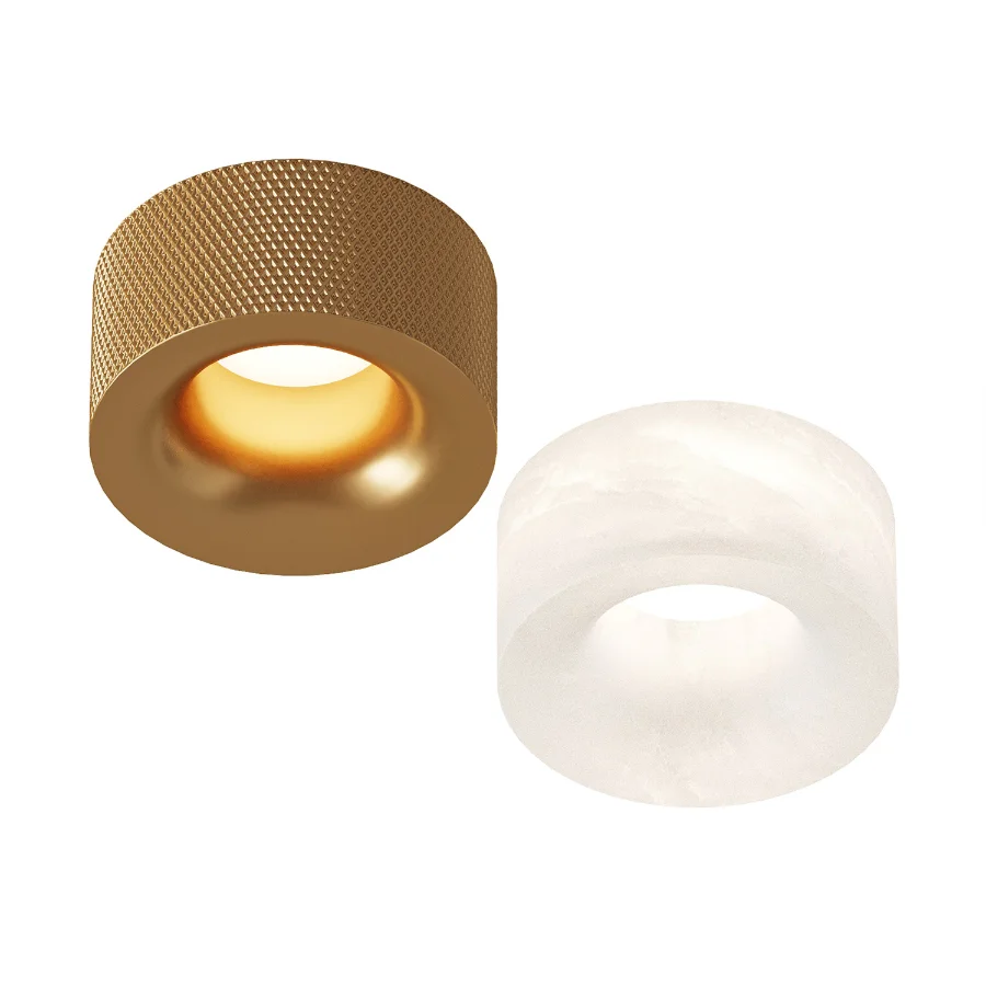 Aromas Del Campo Focus Ceiling Lamp Image 3