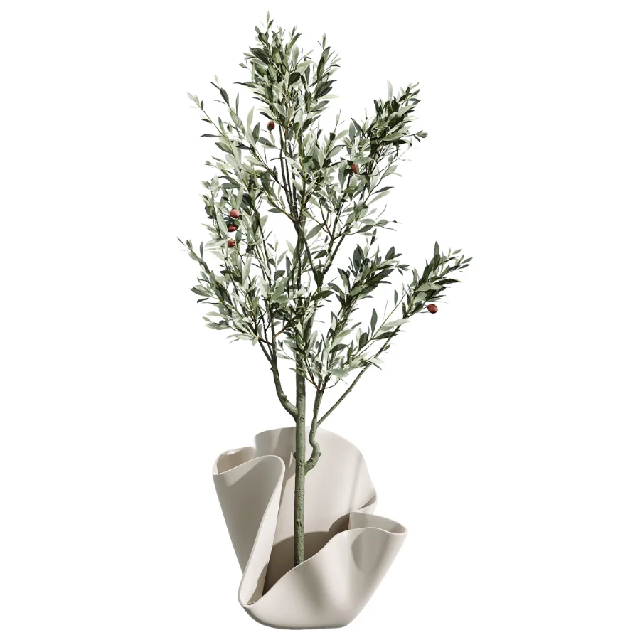 AV Indoor Plants Set 487 Lady Palm and Olive Tree and Snake Sansevieria Image 4