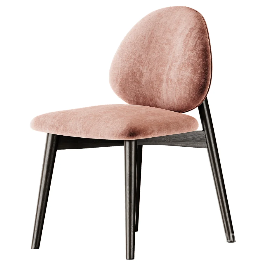 Aren Chair By Saloni Image 1