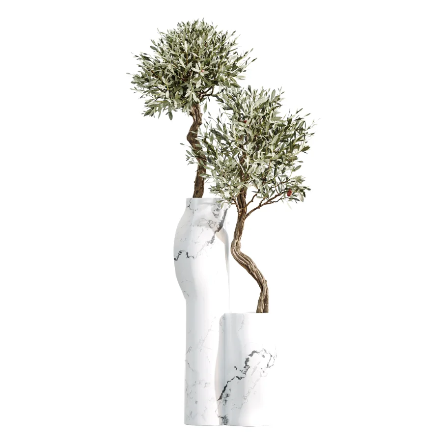 AV Indoor Plants Set 476 Yucca Elephantipes and Olive Tree and Zamioculcas Zamiifolia and Peace Lily Image 8