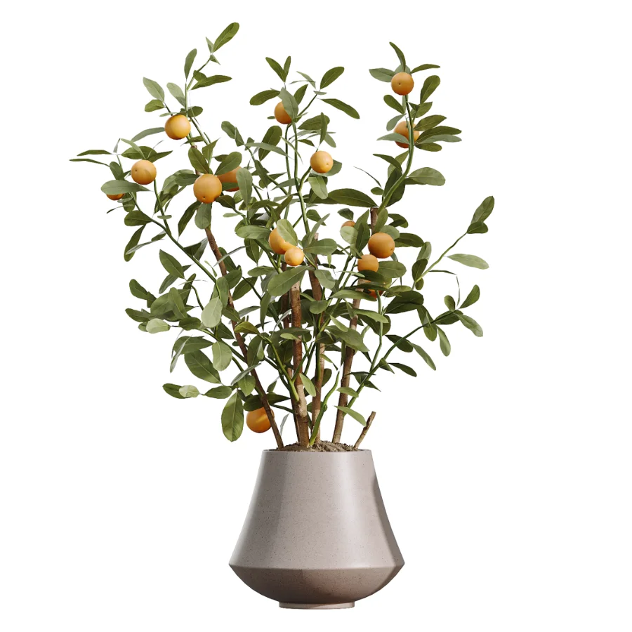AV Indoor Plants Set 482 Peace Lily Banana Olive Yucca Orange Image 3