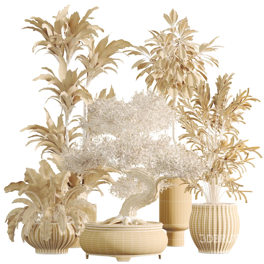 AV Indoor Plants Set 474 Areca Palm and Chemlali Olive and Ravenala Banana and Dracaena Lime Cane and Ficus Cyathistipula Image 9