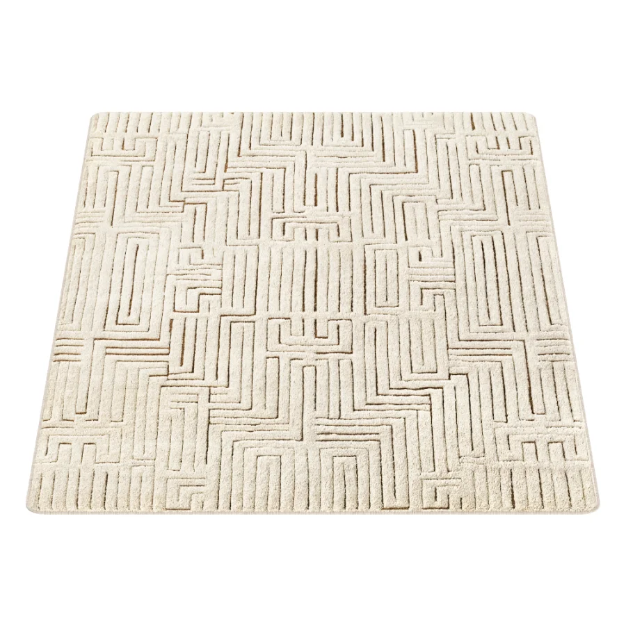 Carpet Image 2
