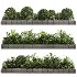 Outdoor Plant 49 - Thumbnail 3